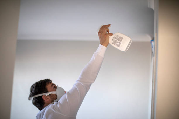 Best Mold Cleaning Services  in Nroe City, MO