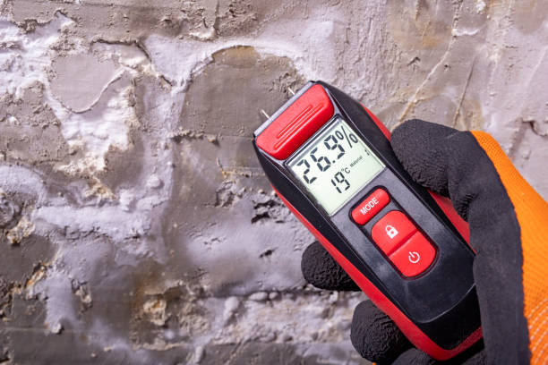 Best Mold Removal Near Me  in Nroe City, MO