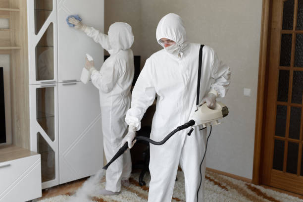Best Professional Mold Removal  in Nroe City, MO