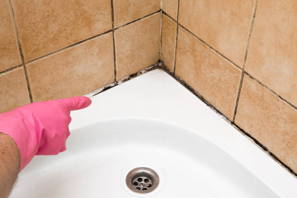 Best Crawl Space Mold Removal  in Nroe City, MO